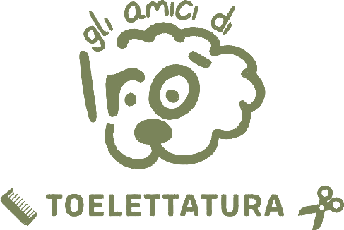 Gli Amici di Irò – torna all'inizio